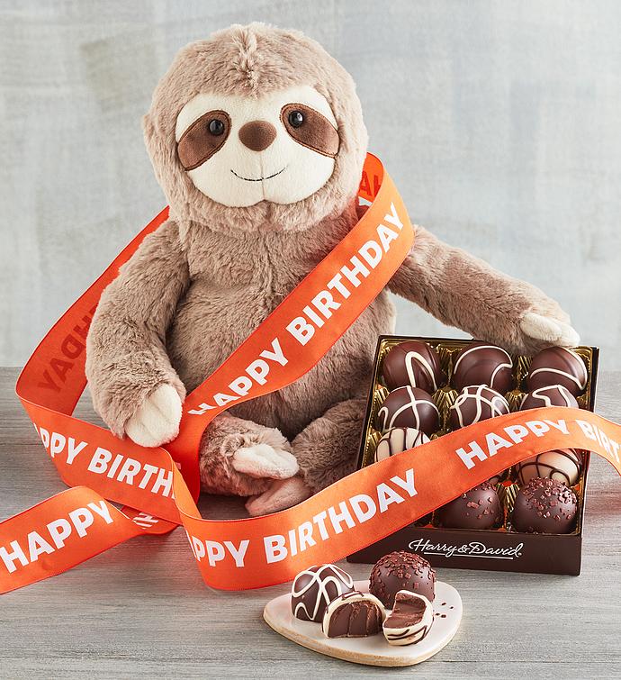 "Happy Birthday" Sloth Plush with Truffles